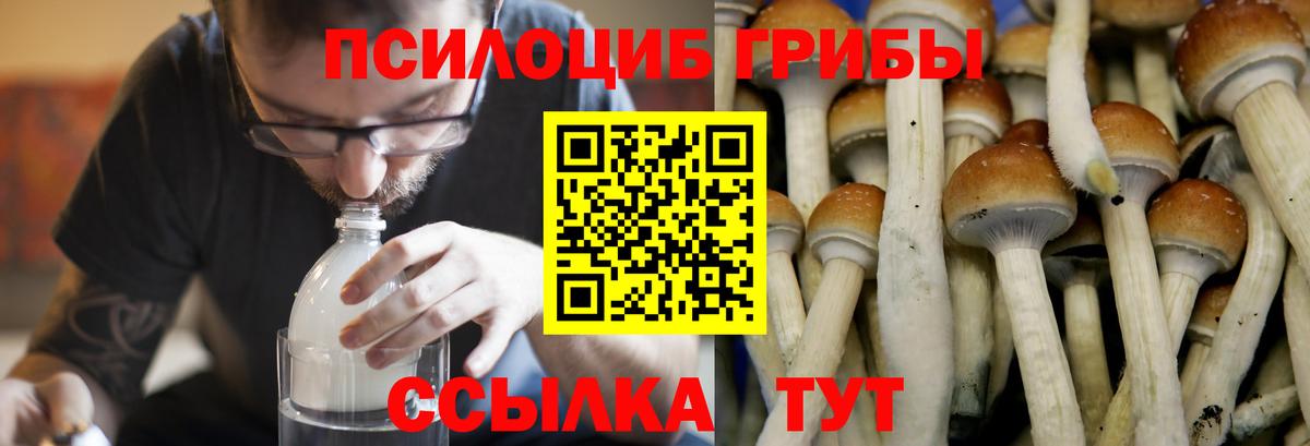 Галлюциногенные грибы MAGIC MUSHROOMS Ессентуки